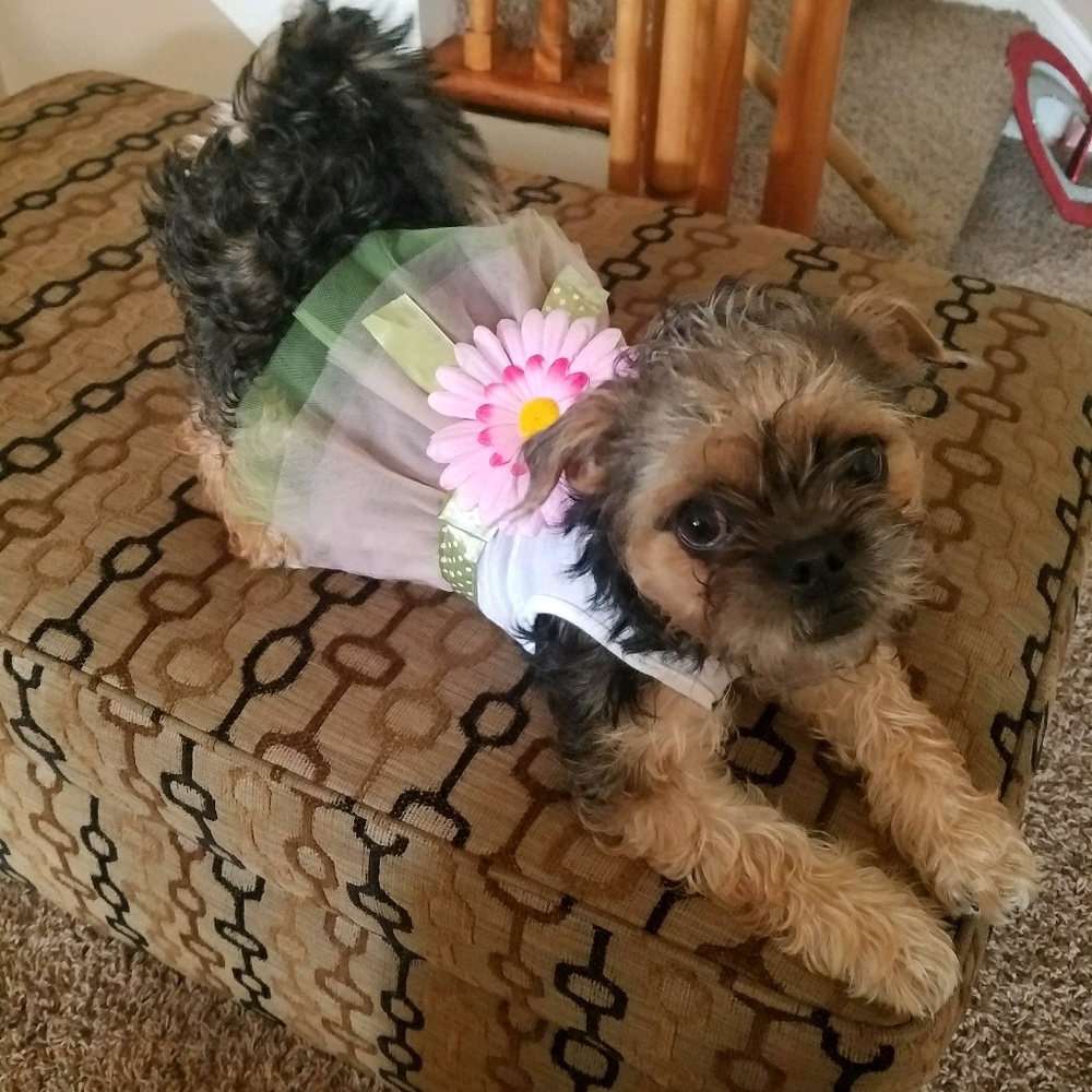 Meet your Posher, Laura